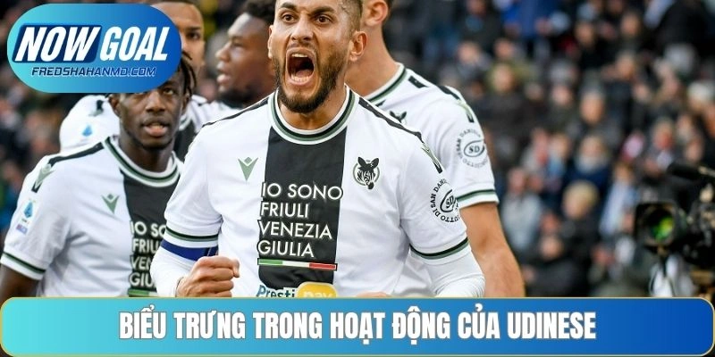 Biểu trưng trong hoạt động của Udinese