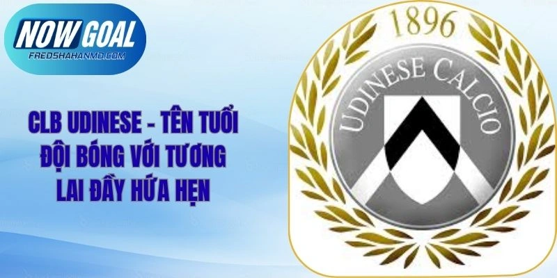 CLB Udinese - Tên Tuổi Đội Bóng Với Tương Lai Đầy Hứa Hẹn