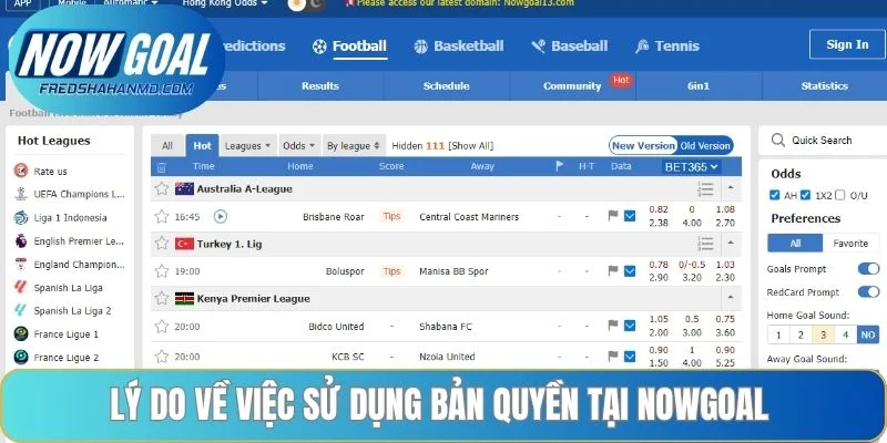Lý do về việc sử dụng bản quyền tại NOWGOAL 