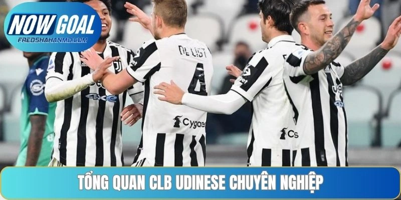 Tổng quan CLB Udinese chuyên nghiệp